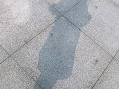 -文华公园(禅城区)