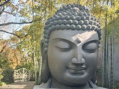 -杭州植物园