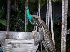 -广州都喜泰丽温泉度假酒店