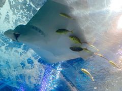 -海合安成都极地海洋公园
