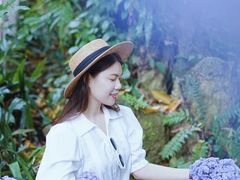 -广西壮族自治区药用植物园