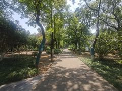 -荆州中山公园动物园