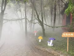 -腊山国家森林公园