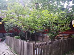 -北京鹫峰国家森林公园