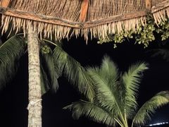 -三亚海棠湾万丽度假酒店