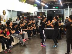 -温鉴良实用咏春拳