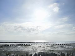 -南汇嘴观海公园