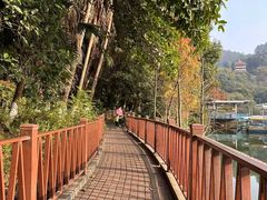 -水濂山森林公园