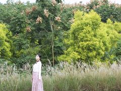 -白鹭湾湿地公园