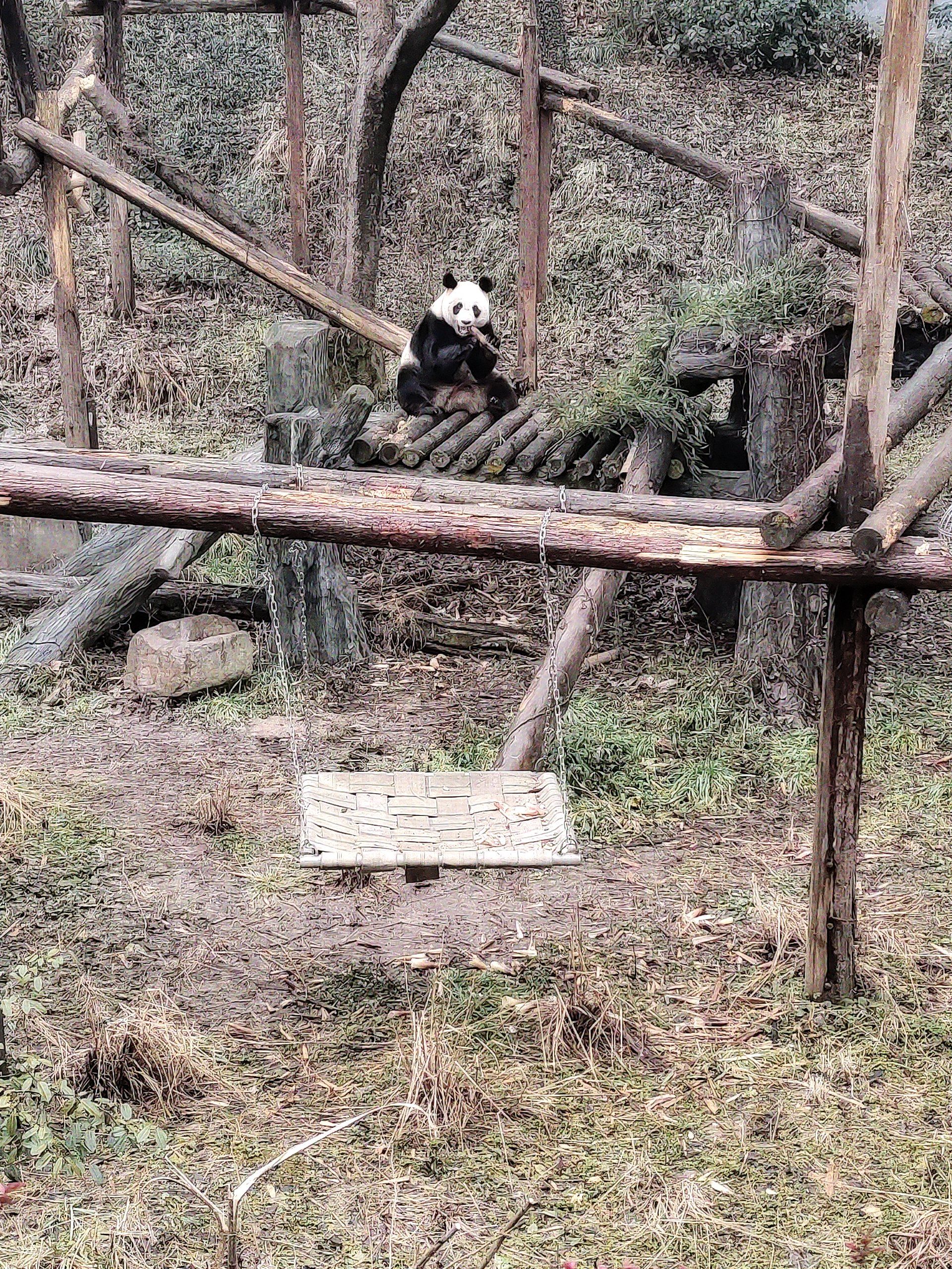 红山动物园游记