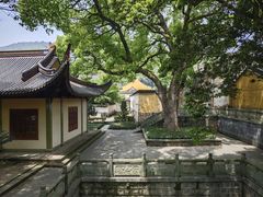 -阿育王寺