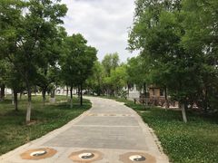 -函谷关历史文化旅游区