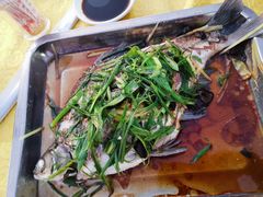 -阿鸟农庄(石壁店)