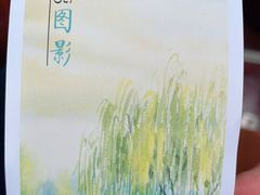 -长兴太湖图影湿地文化园