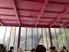 -鸡鸣汤包(红山动物园店)