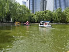-团结湖公园