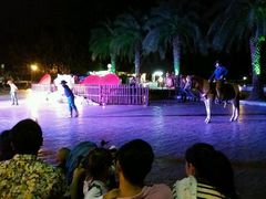 -清迈夜间动物园