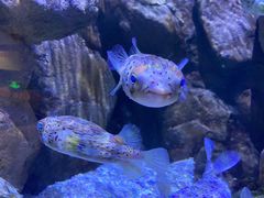 -成都浩海立方海洋公园