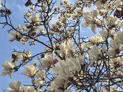 -星巴克(西藏路店)