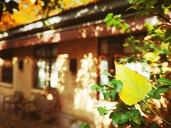 -西安电影制片厂