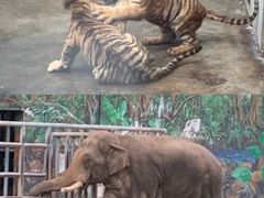 -西安秦岭野生动物园