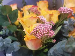 -维乐口腔(格林门诊长宁店)