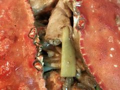 -泮金大塘(北二七路店)