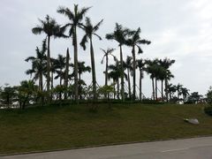 -广东茂名森林公园