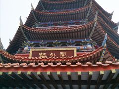 -铁山坪森林公园