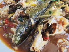 红烧昂刺鱼-杨辉饭店