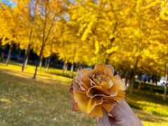 -西北湖绿化广场