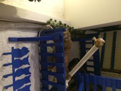 海妖酒吧-Sirena海妖日咖夜酒