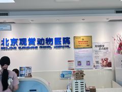 -北京观赏动物医院·24小时大型综合·猫专科·异宠专科