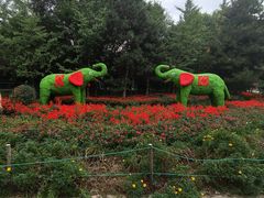 -长白岛森林公园