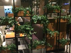 -CoCo壱番屋(久光百货店)