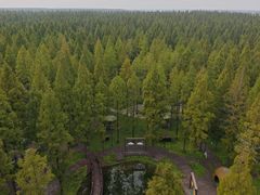 -黄海国家森林公园