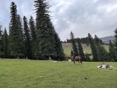 -新疆那拉提国家旅游度假区