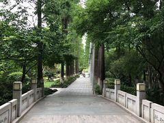 -红梅公园