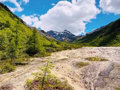 -黄龙山原始森林景区