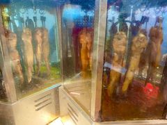 -一代烤翅王(大汉口店)