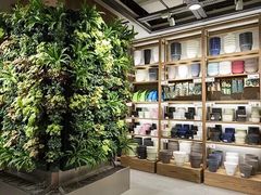 -鹿岛会员店 (龙湖三千集天街店)