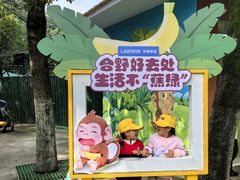 -合肥野生动物园