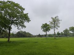 -宜兴龙背山森林公园