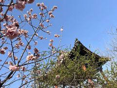 -鹫峰国家森林公园