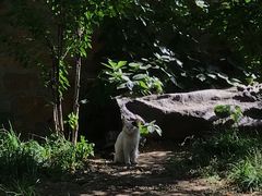 -红楼梦邮局