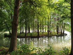 -梁鸿国家湿地公园