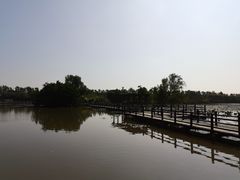 -大湾区中央湿地公园