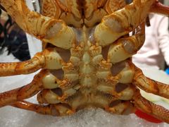 -皇朝尊会(龙之梦大酒店)