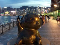 -星光大道