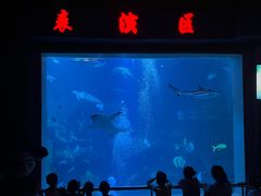 -太平洋海底世界